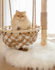 A cat sitting on the swing of the Cloud Swing Cat Tree