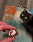 Choco Swiss Roll Cat Cave