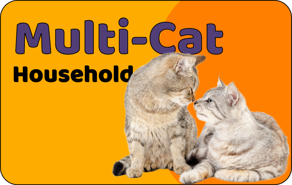 Buy cat supplies sales online