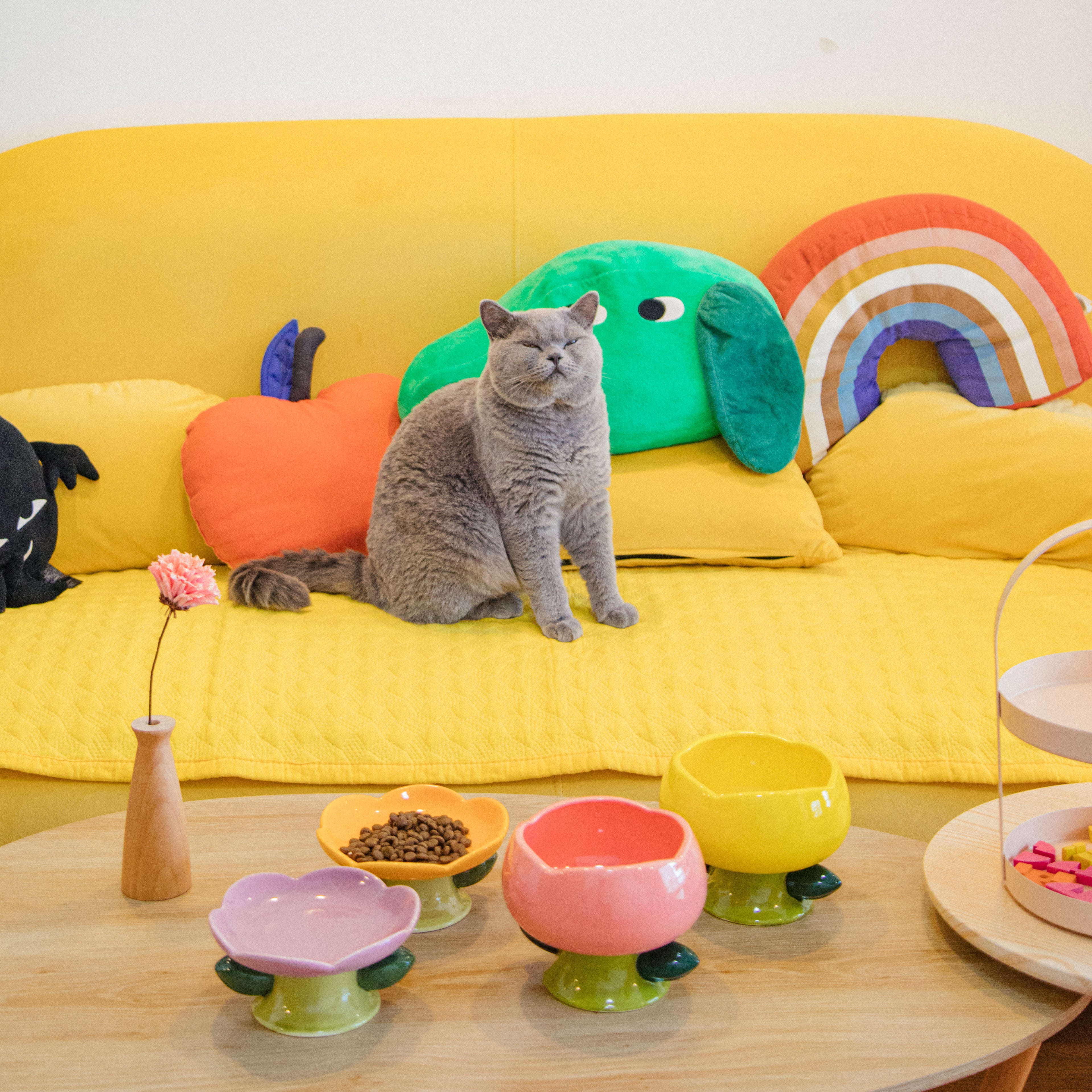 Happy & Polly Online Pet Store | Cat Bowls, Toys, Trees & Supplies