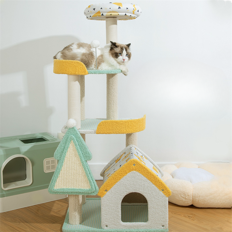 A Ragdoll cat on the platform of the Dream Paradise Cat Tree.