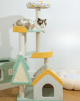 A Ragdoll cat on the platform of the Dream Paradise Cat Tree.