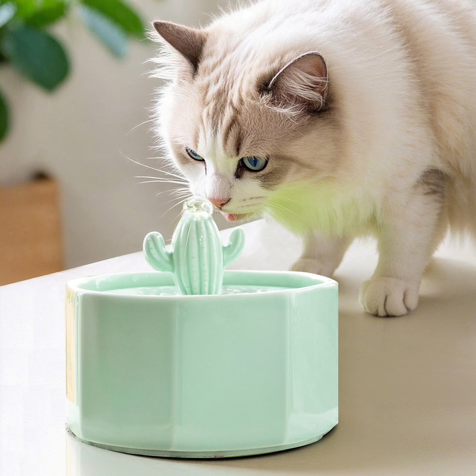 succulent water fountain cat Happy & Polly Cactus Style Ceramic Cat Water Fountain, 1.5-liter