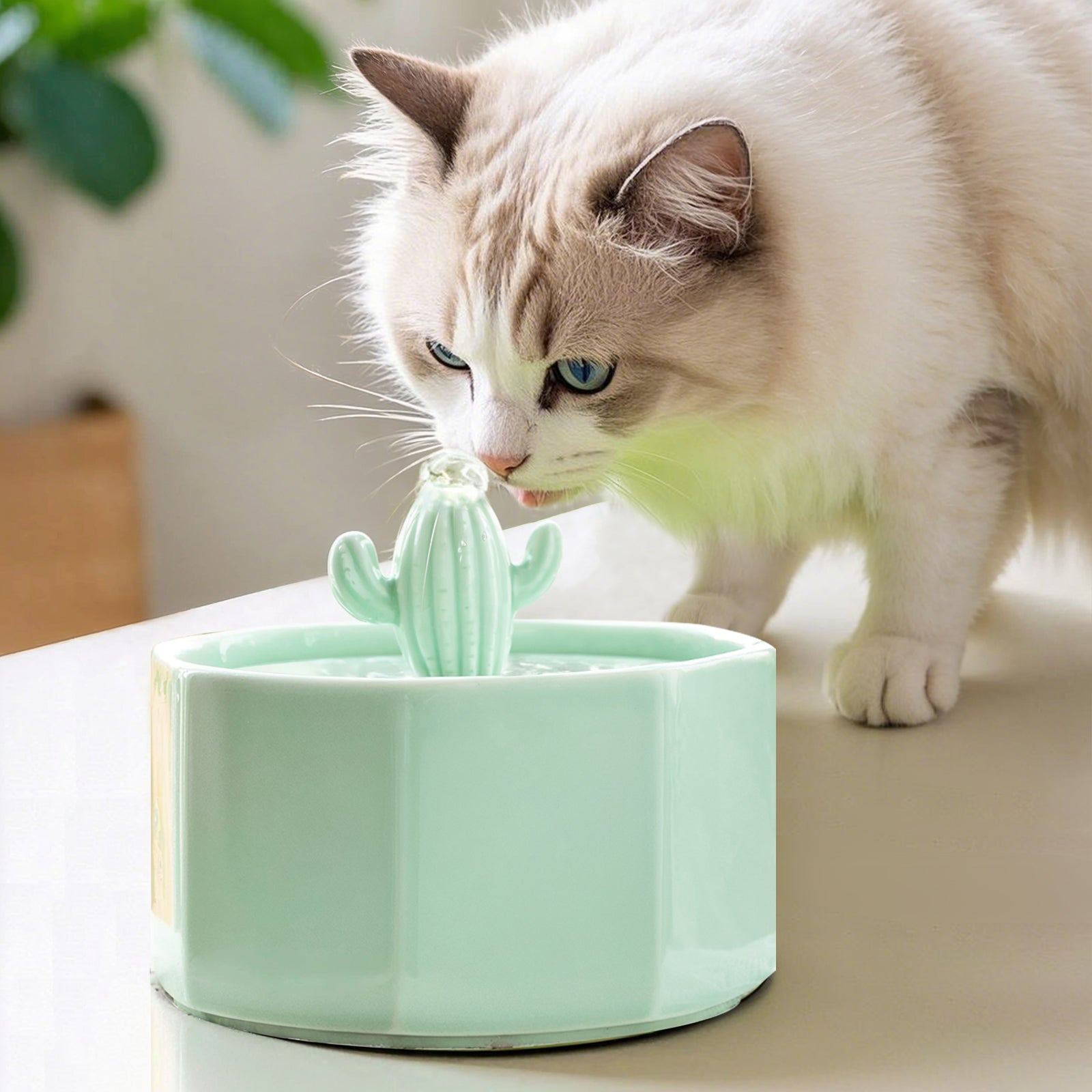 50oz/1.5L Cactus Style Cat Water Fountain