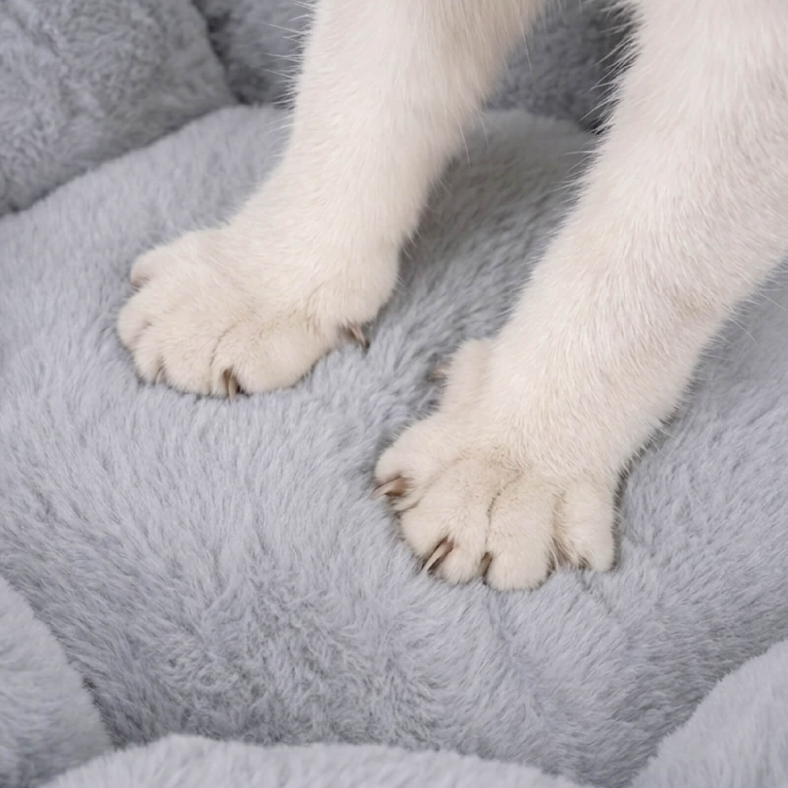 Bloomy Flower Cozy Plush Cat Bed