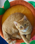 Top view of an orange cat on the orange platform of the Fruit World Cat Tree