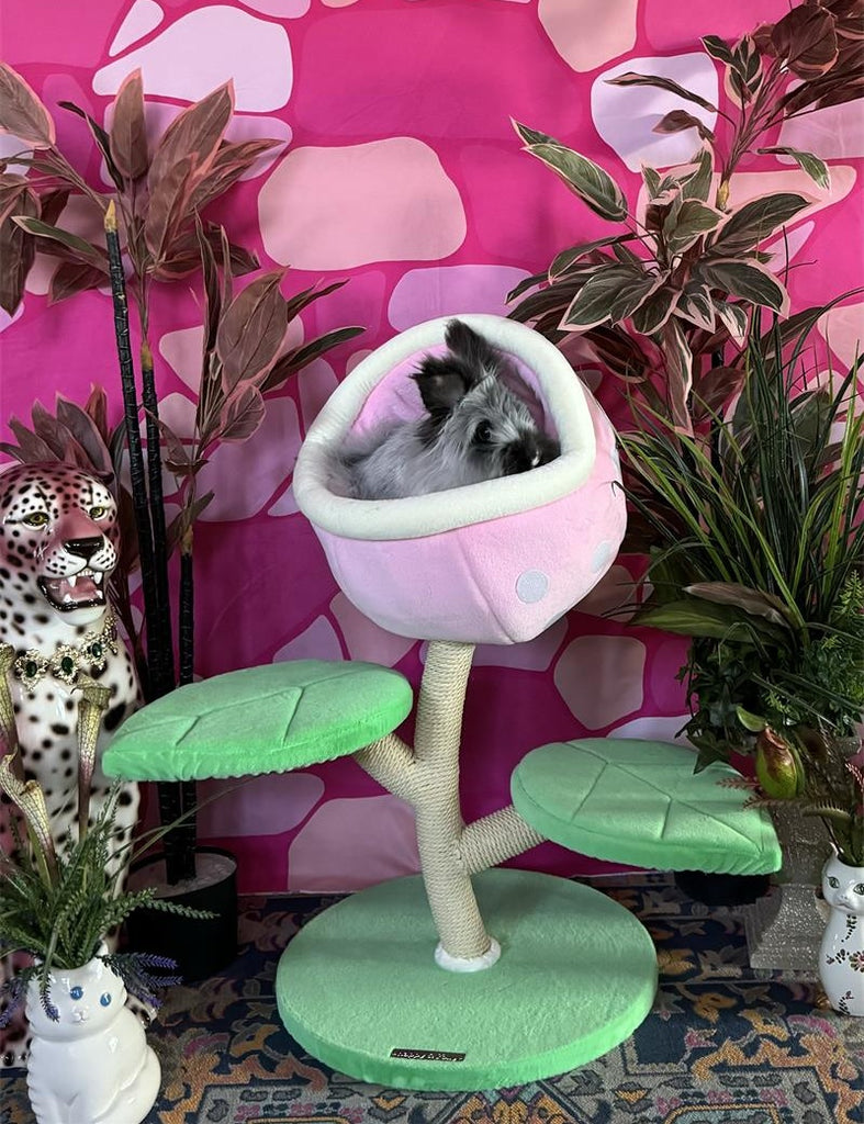 Monster World Cat Tree Happy & Polly