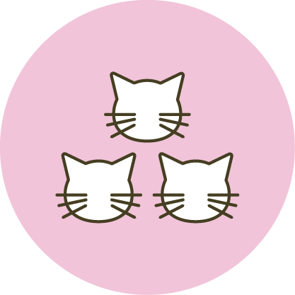 Alt Image