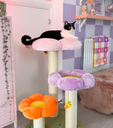 Cat tree wish hotsell