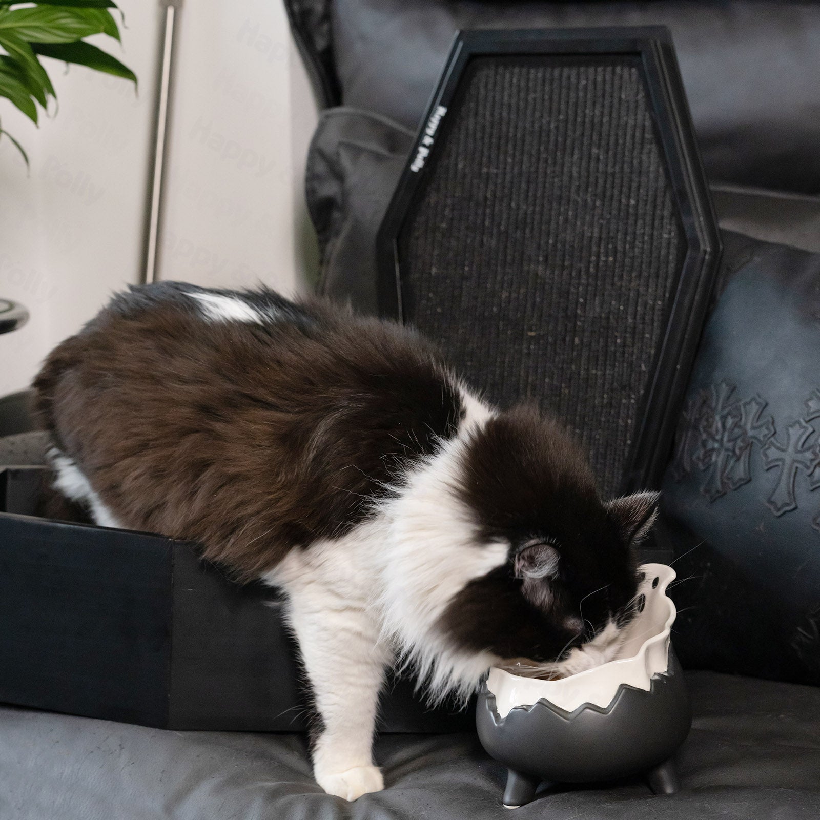 ceramic cat food bowl