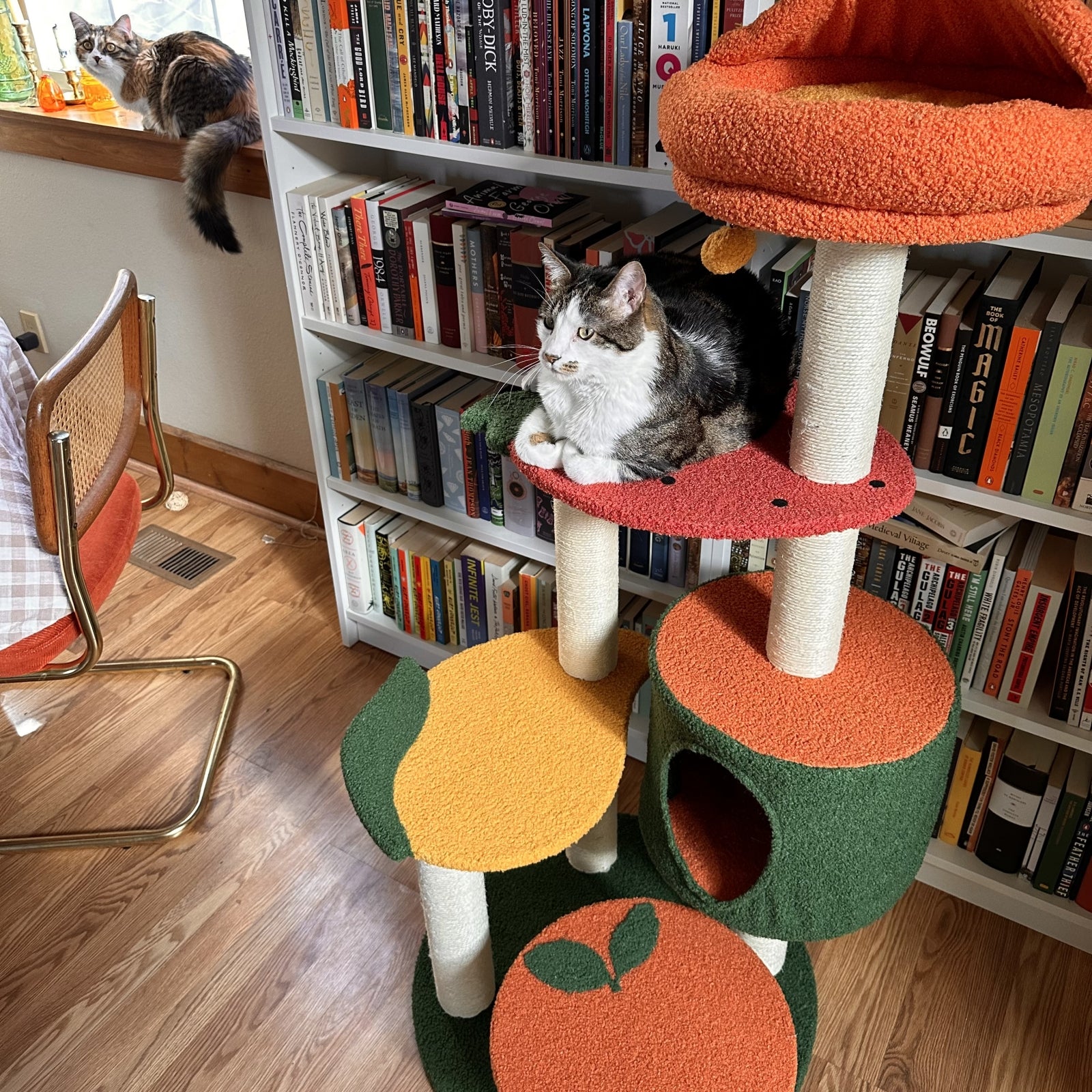 Fruit World Cat Tree