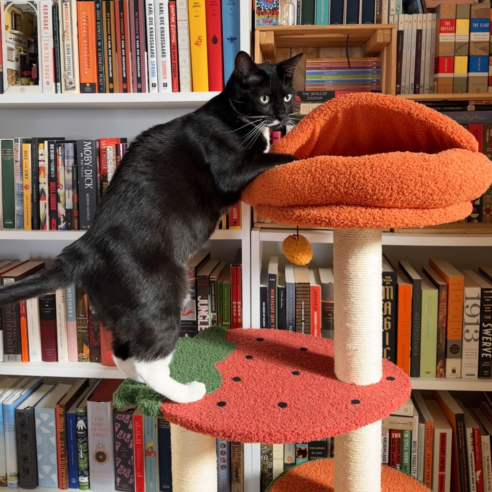 Fruit World Cat Tree