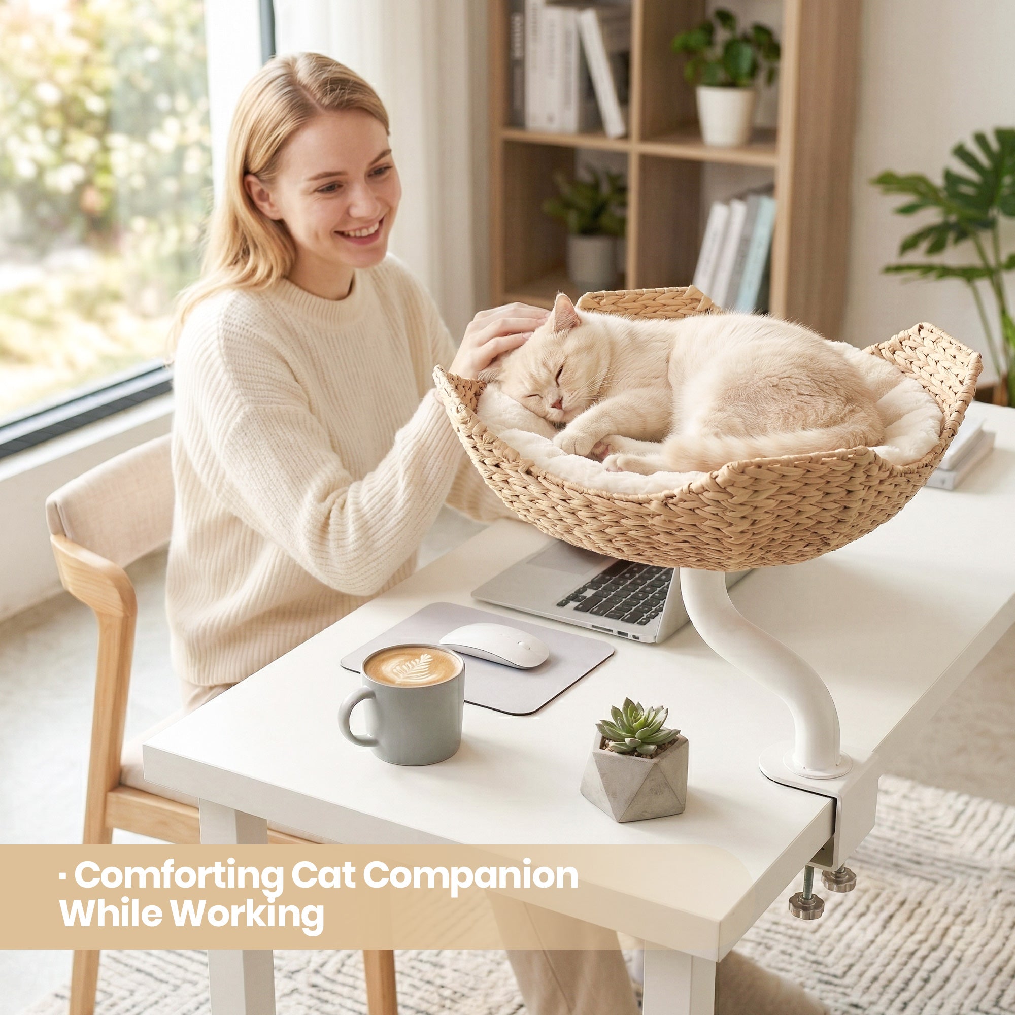 Woven Nest Desk Cat Bed