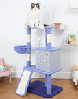 Ragdoll cat sitting on King Cloud Cat Tree top platform – ideal for large cats.