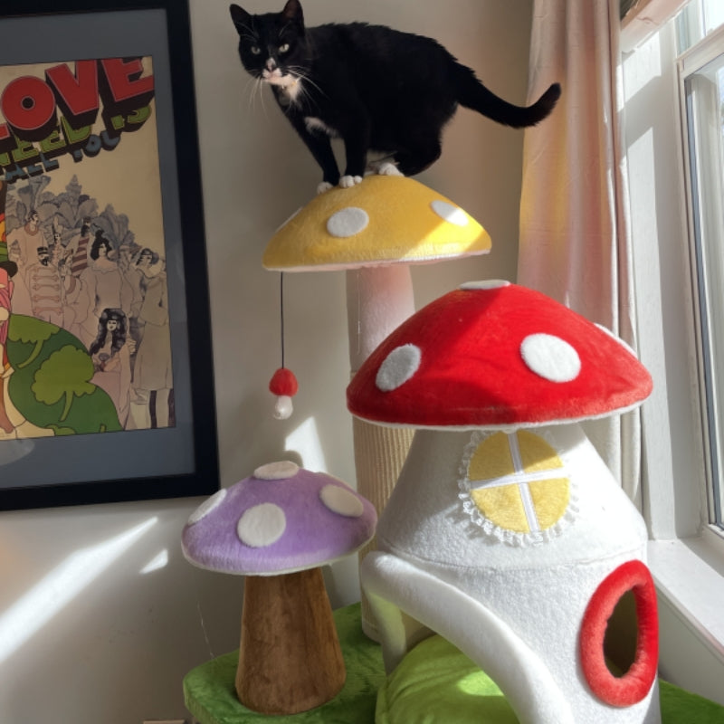 Mushroom cat tree hotsell