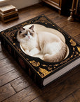 Cat resting on scratcher in reading room
