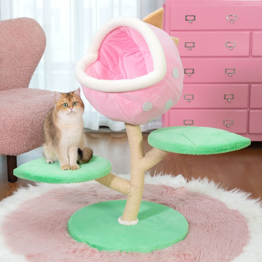 Happy & Polly Pet Store Best Seller