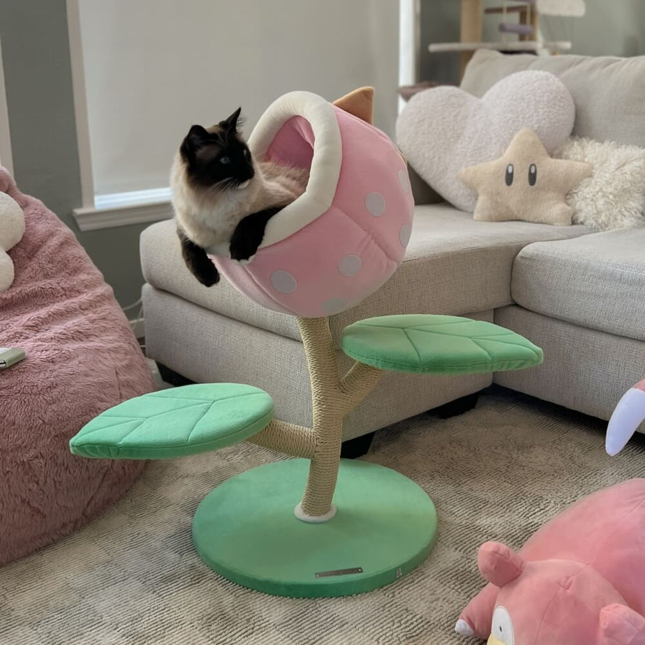 Happy & Polly Online Pet Store | Cat Bowls, Toys, Trees & Supplies