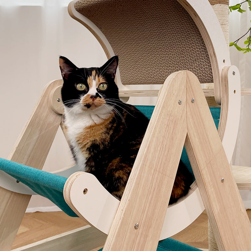 Close-up detail of the scratching board on Moon Ship Cat Tree accessories – showcasing its texture and durability.