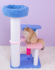 Cat playing with MoraSky Cat Tree hanging toy – fun and interactive cat tree accessory.