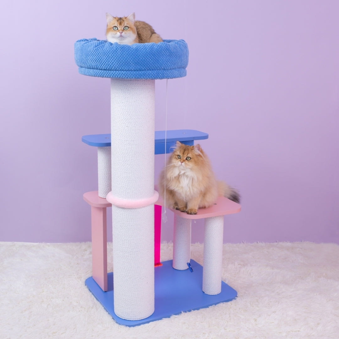 Two cats on MoraSky Cat Tree platforms – multi-level design for active cats.