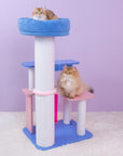 Two cats on MoraSky Cat Tree platforms – multi-level design for active cats.