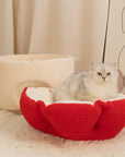 mushroom cat bed indoors