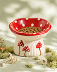 Mushroom ceramic cat bowl with dry food