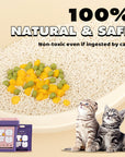 natural cat litter