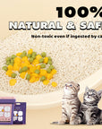 Clumping Organic Tofu Cat Litter