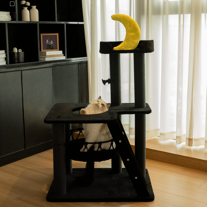 A cat sitting on the Nightfall Cat Tree hammock playing with a hanging toy.