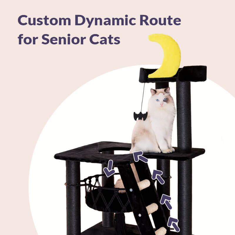 Nightfall Cat Tree, Custom Dynamic Route for Senior Cats.