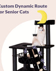 Nightfall Cat Tree, Custom Dynamic Route for Senior Cats.