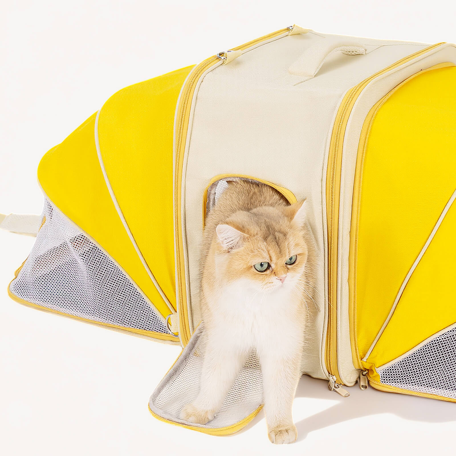 Portable Cat Backpack Carrier