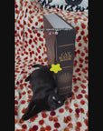 Midnight Grimoire Cat Scratcher