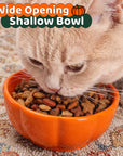 10 oz Pumpkin Patch Cat Bowl