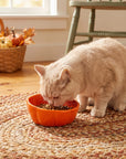 10 oz Pumpkin Patch Cat Bowl