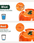 Low-water status light and auto shutoff