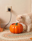 Orange Pumpkin Patch fountain in a home setting