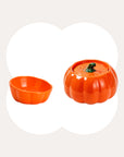 Orange Pumpkin Patch ceramic cat water fountain and matching cat bowl set.
