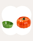 Orange Pumpkin Patch fountain with a green ceramic cat bowl.