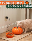 Cat using a Pumpkin Patch fountain beside a wide shallow food bowl.