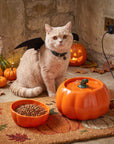 Cat enjoying a whimsical Pumpkin Patch fountain and bowl feeding corner.