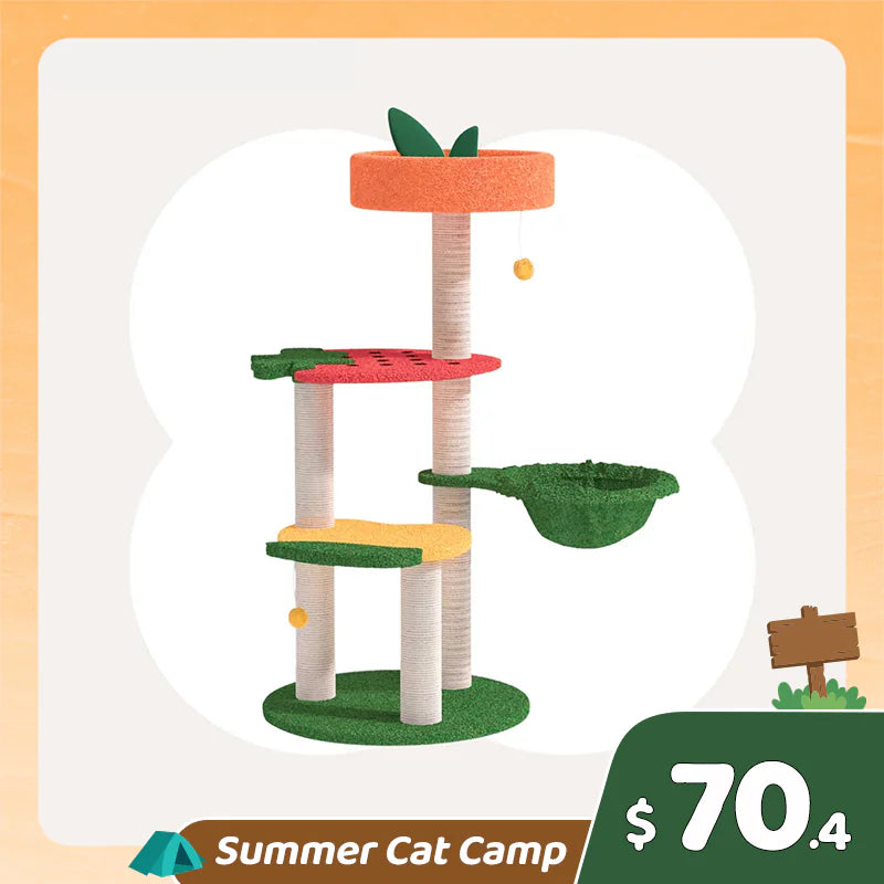 Summer Cat Camp Sale - 50oz/1.5L Cactus Style Cat Water Fountain