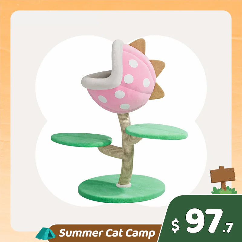 Summer Cat Camp Sale - Fruit Series Cat Litter Mat