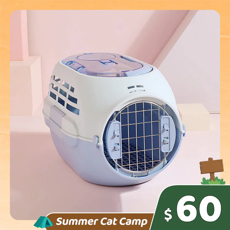 Summer Cat Camp Sale - Yellow Tulip Cat Tree