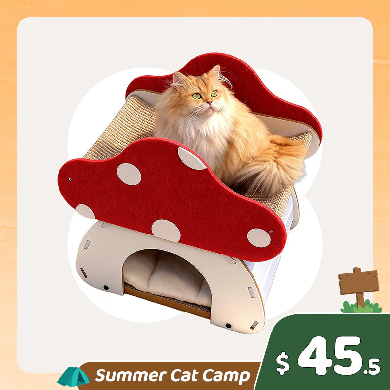 Summer Cat Camp Sale - Bone China Double Cat Bowl
