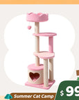Summer Cat Camp Sale - 50oz Cloud Cat Water Fountain