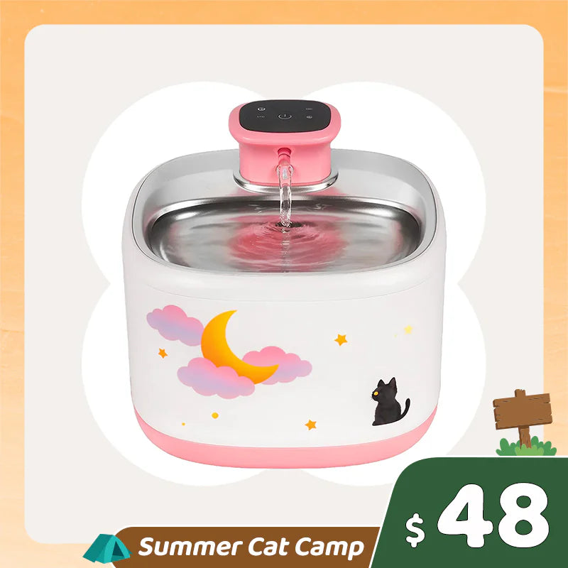 Summer Cat Camp Sale - Royal Crown Cat Tree