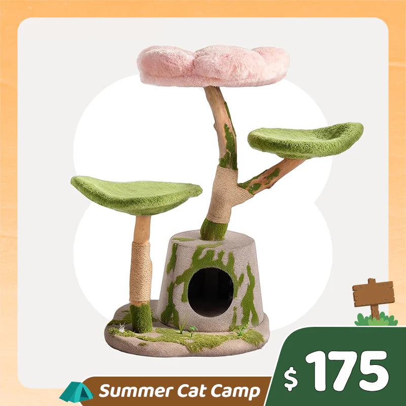 Summer Cat Camp Sale - 71oz Moonlight Wireless Smart Water Fountain